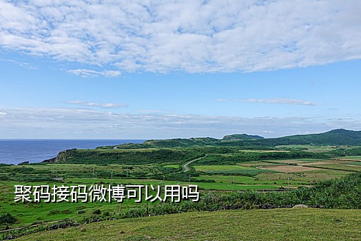 手机接码骗局套路