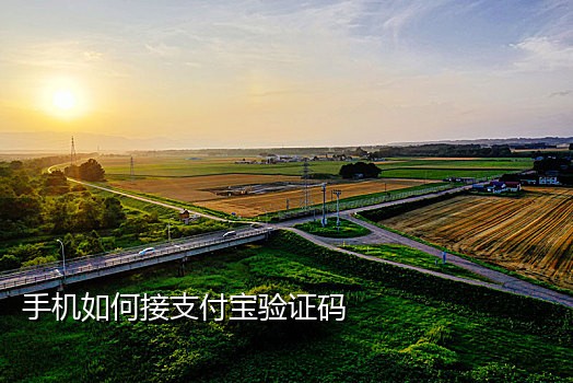 淘宝怎么接码代付订单啊