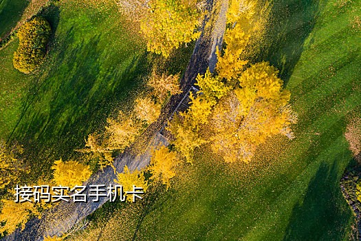 淘宝号美国接码不能接