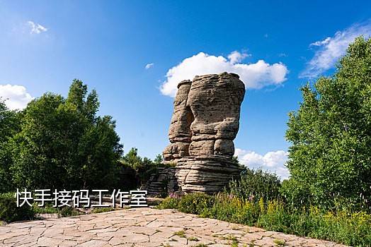 他趣接码
