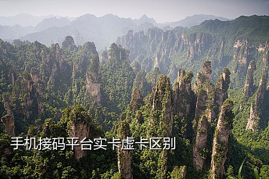 手机延迟接验证码