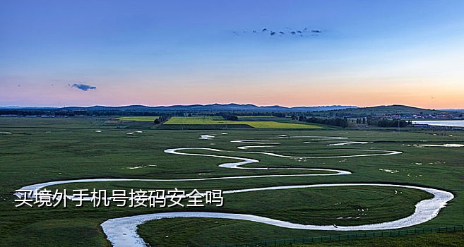 手机为什么接不到验证码了