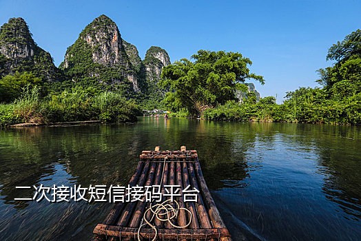 手机接码对接什么意思