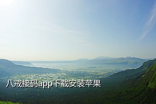 手机接等候验证码特别慢