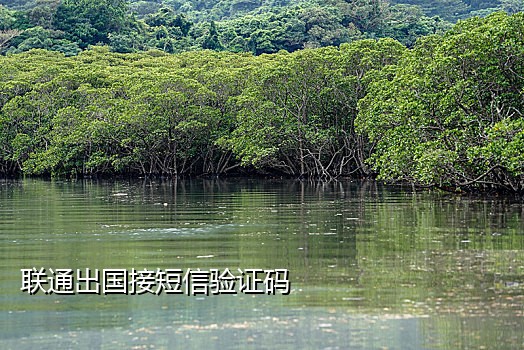 手机接不到验证码怎么办vivo9