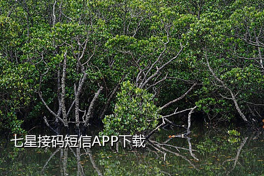 手机号码接码服务