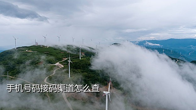 手机号接码生成器在线使用