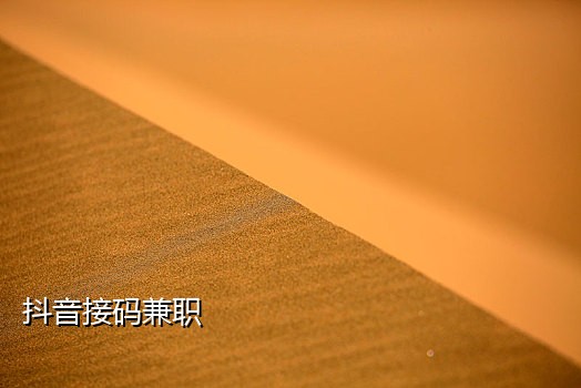 手机号接码绑定