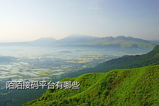 手机接不到验证码了怎么办