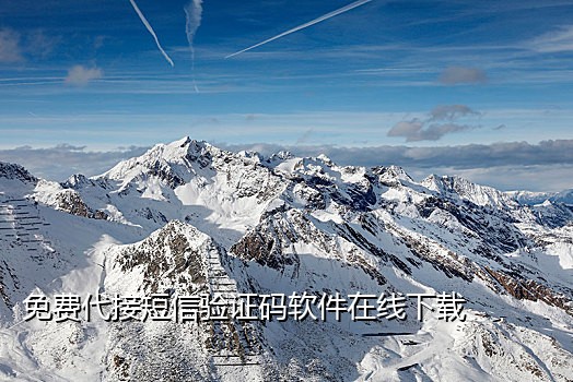 收费接码短信平台有哪些