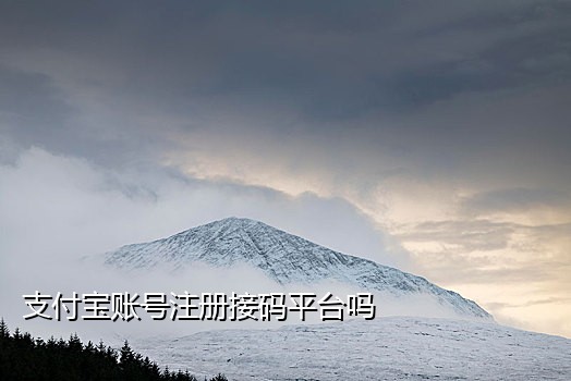 实名手机接码平台有哪些