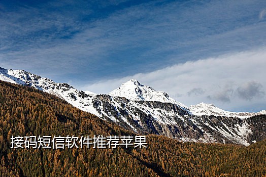 手机接不到任何短信验证码