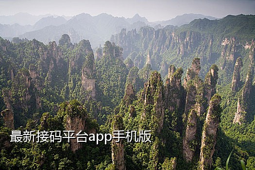 神话接码最新网站