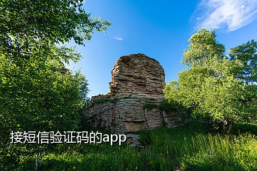 如何接码登录微信