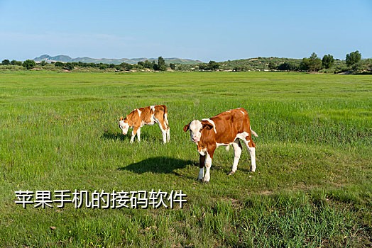 手机接别人的验证码怎么办