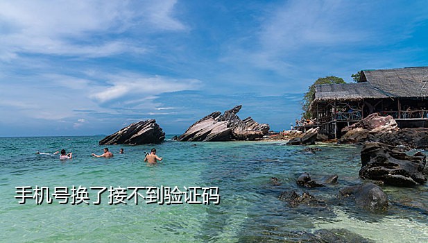 手机号如何接码发短信给他