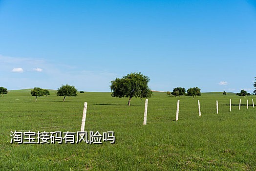 哪里可以接码注册qq