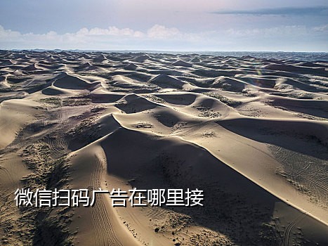 陌陌接码是什么