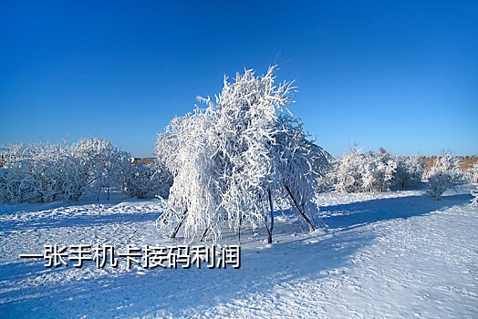免费接短信验证码软件