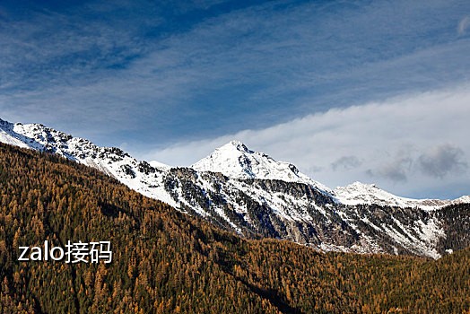 美国接码短信平台蜗牛