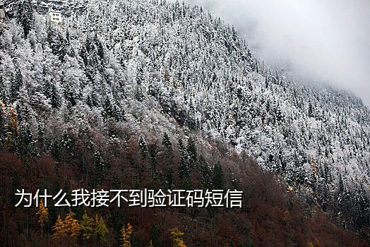 手机号接码人生