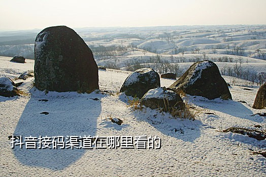 卡农接码短信平台