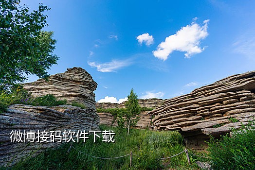 京东注册短信接码平台