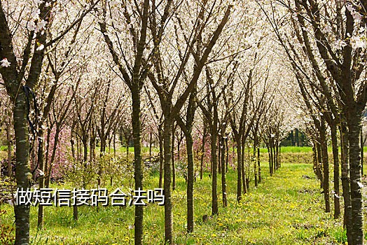 京东淘宝抖音接码不起诉