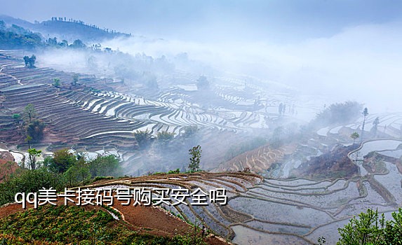 京东接码是干啥的啊