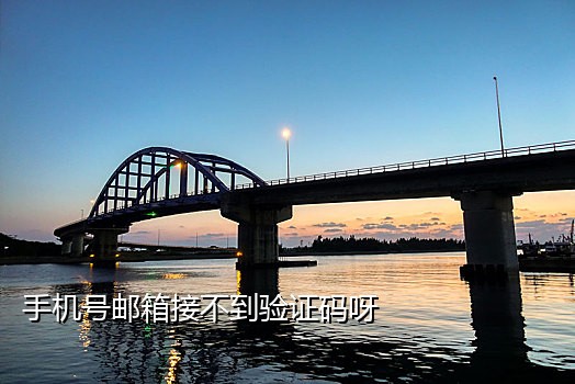 解码器接短信验证码