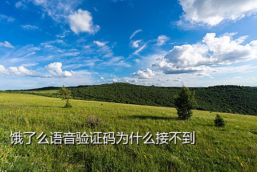 接码微博