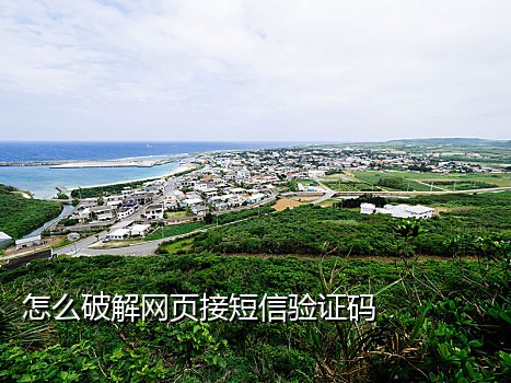 接码手机是干嘛的