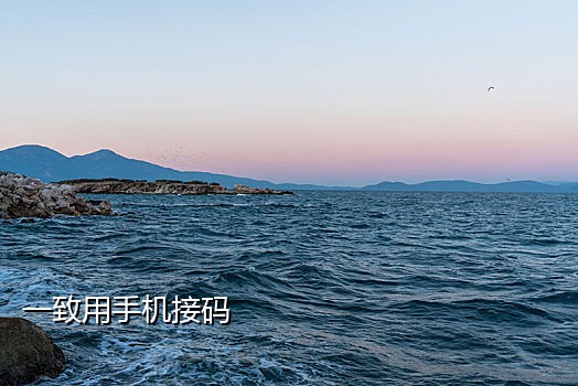 接国外手机号的验证码