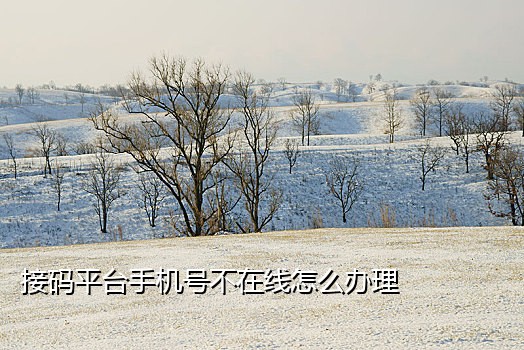 接不到联动云短信验证码