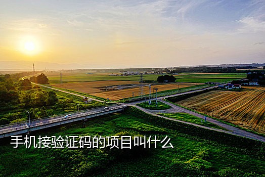 接别人的短信验证码