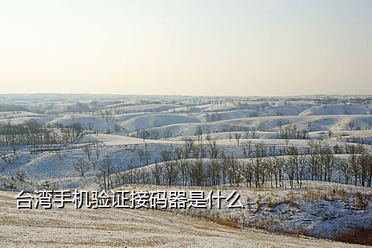 换新手机卡接不到验证码