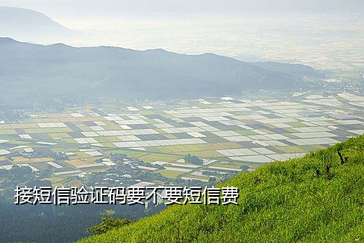 好用的短信接码app