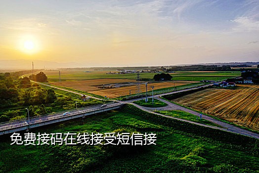 国外微信接码