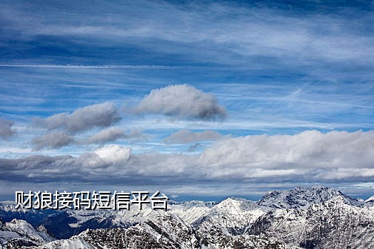 国外手机号接验证码软件