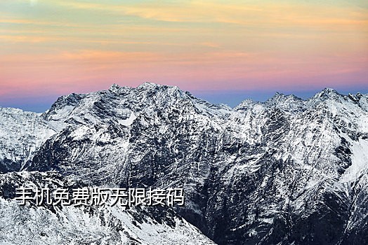 收费接码短信验证码平台