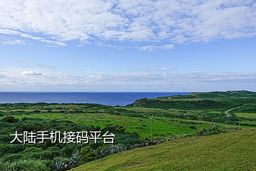 分享一个淘宝接码平台