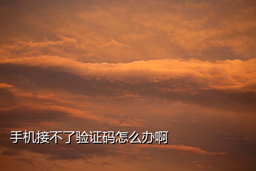 飞牛京东接码