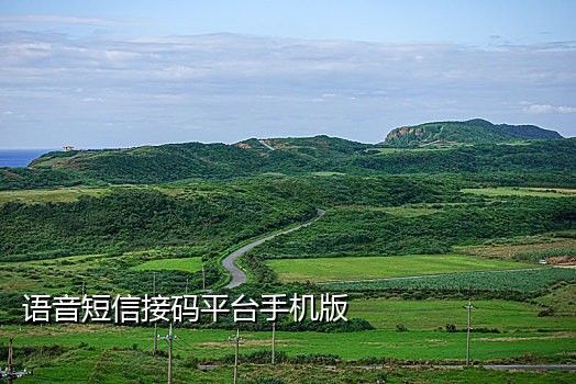番茄接码短信