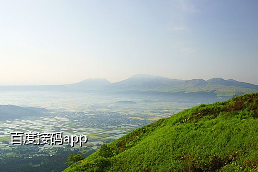 饿了么语音验证码代接