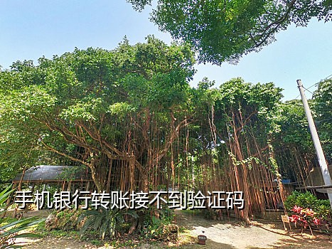 饿了么美团接码