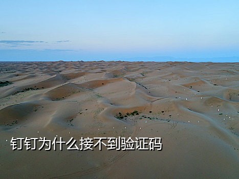饿了么接码怎么用