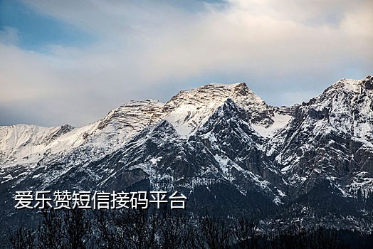 多米短信接码