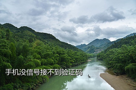 短信在线接码验证码平台