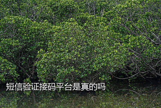 短信云在线接码