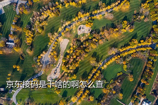 短信接码在线网页